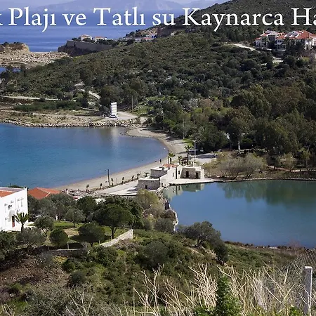 Begonvils * Datca